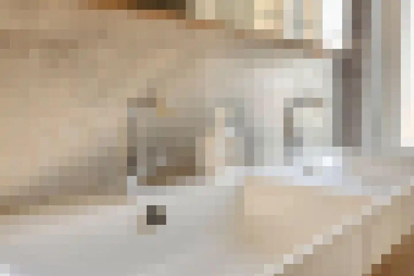 Distellaar 27 Veghel thumbnail 21