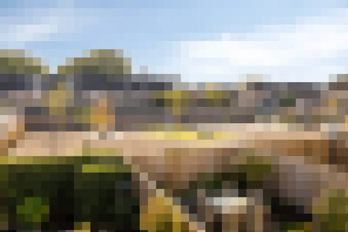 Distellaar 27 Veghel thumbnail 24