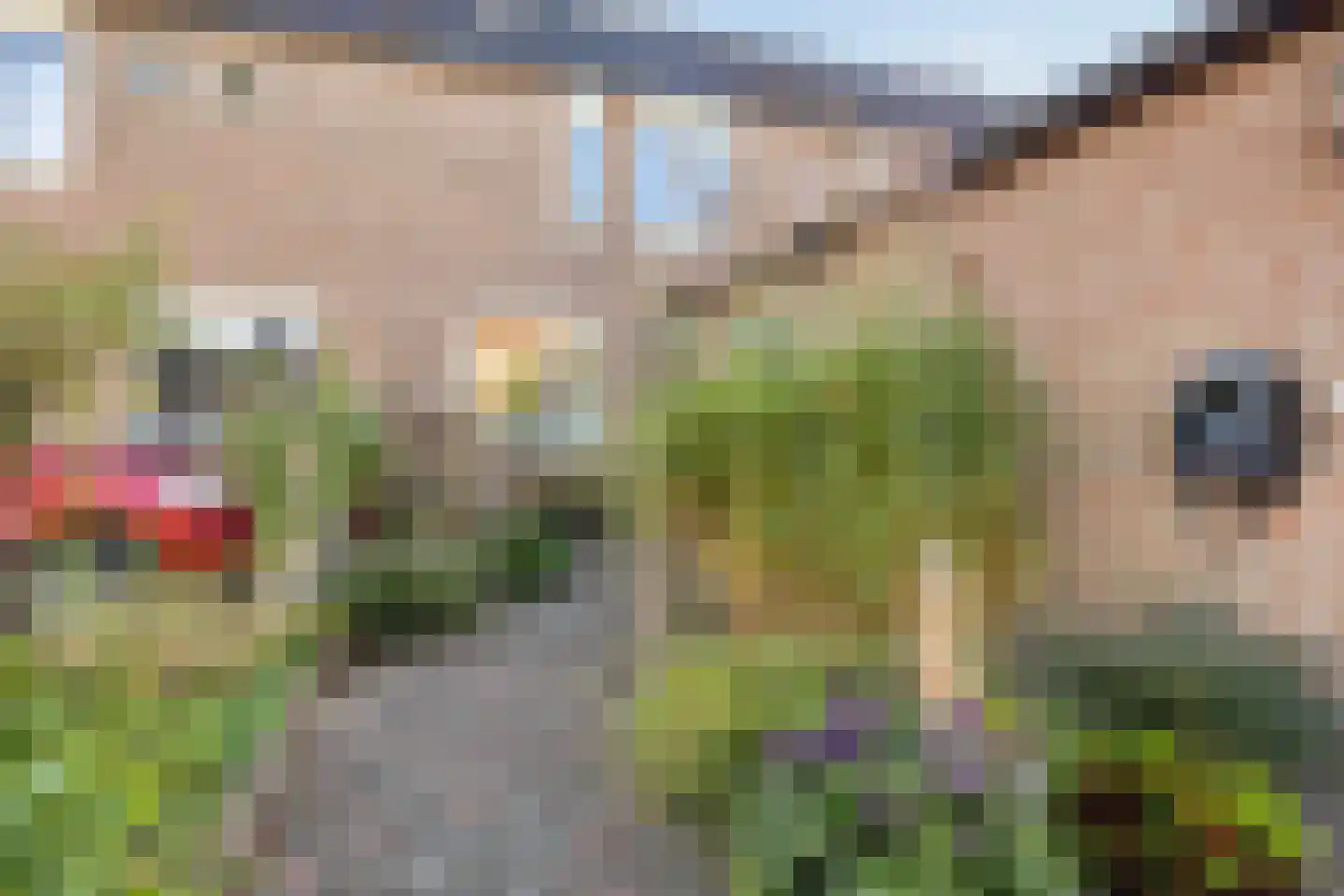 Distellaar 27 Veghel thumbnail 34