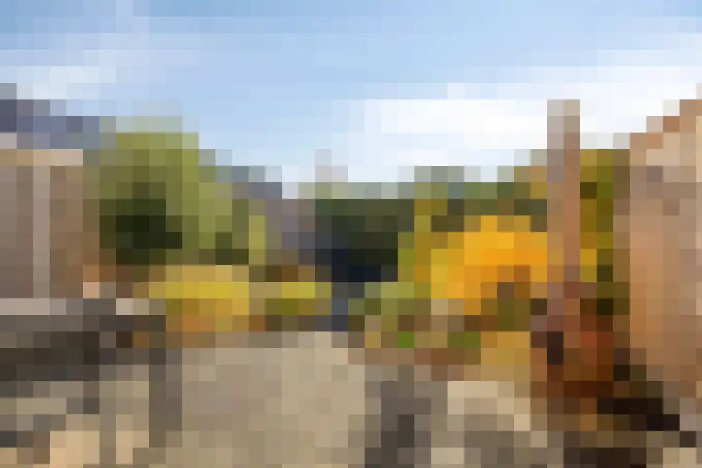 Distellaar 27 Veghel thumbnail 35