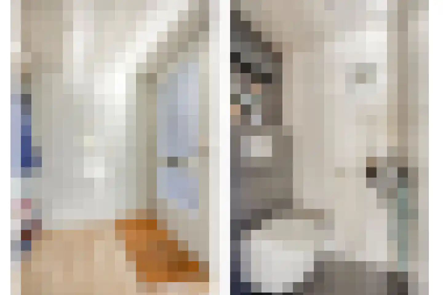 Distellaar 27 Veghel thumbnail 4