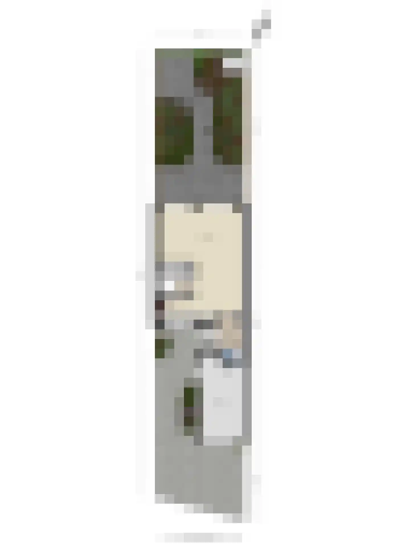 Distellaar 27 Veghel thumbnail 43