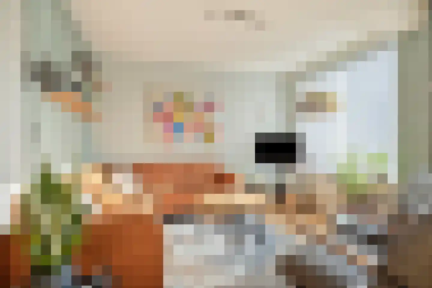 Distellaar 27 Veghel thumbnail 6