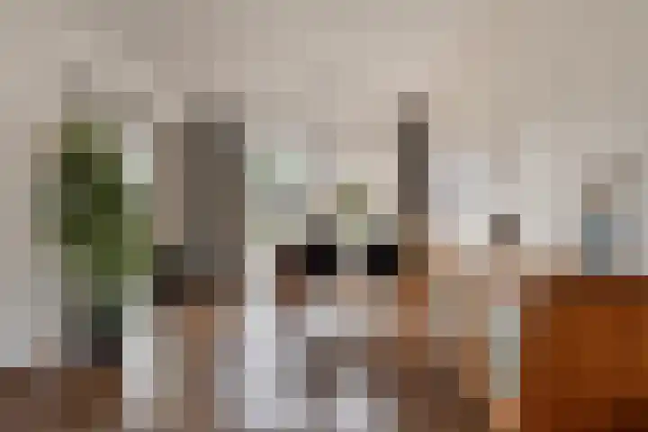 Distellaar 3 Veghel thumbnail 11