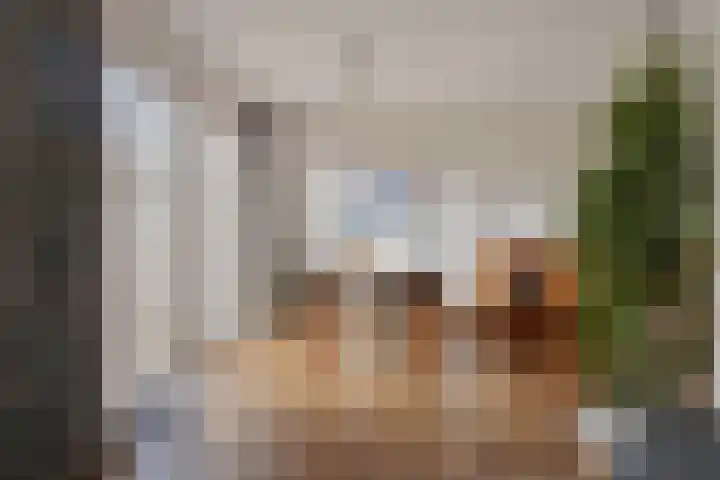 Distellaar 3 Veghel thumbnail 12