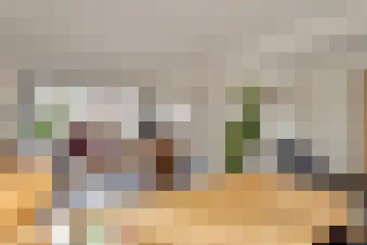 Distellaar 3 Veghel thumbnail 14