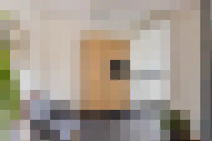 Distellaar 3 Veghel thumbnail 15