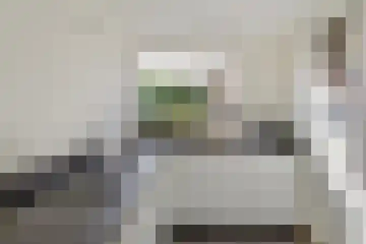 Distellaar 3 Veghel thumbnail 16
