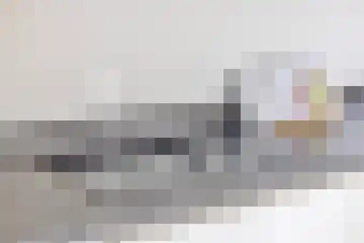 Distellaar 3 Veghel thumbnail 18
