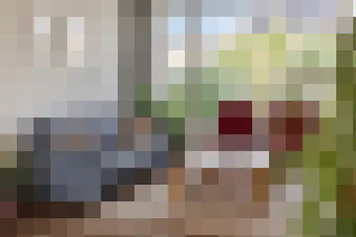 Distellaar 3 Veghel thumbnail 20