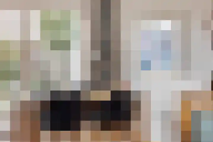 Distellaar 3 Veghel thumbnail 21