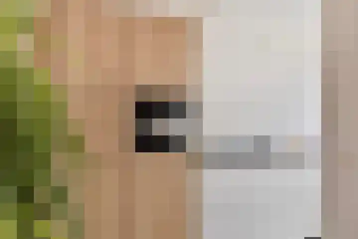 Distellaar 3 Veghel thumbnail 22