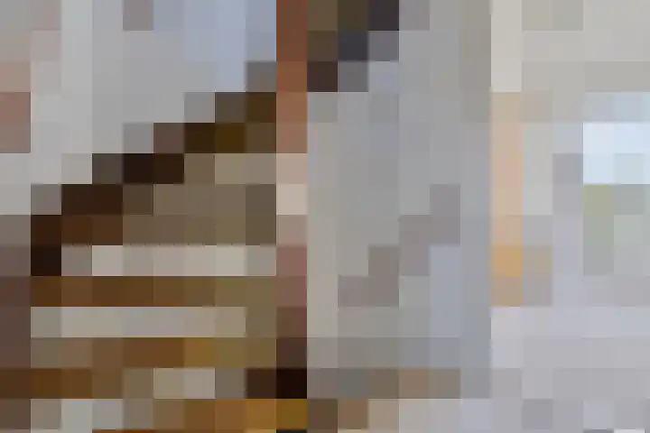 Distellaar 3 Veghel thumbnail 24