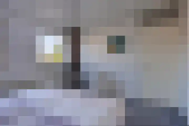 Distellaar 3 Veghel thumbnail 26