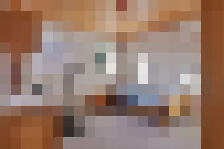 Distellaar 3 Veghel thumbnail 27
