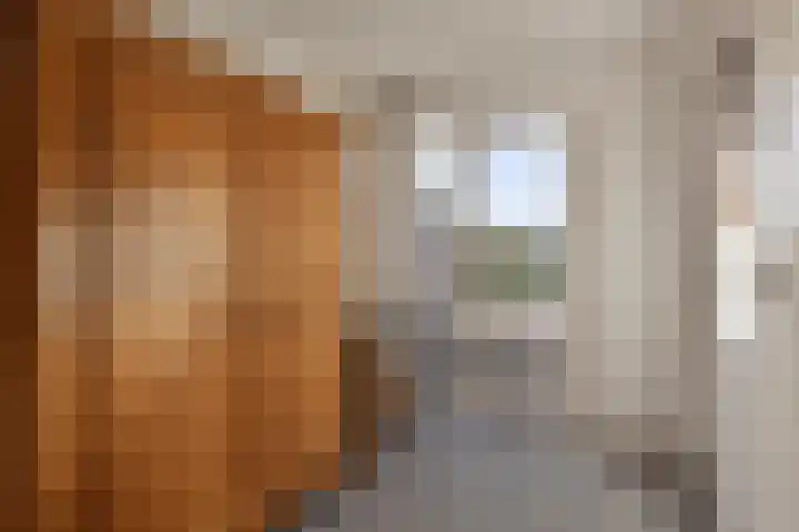 Distellaar 3 Veghel thumbnail 28