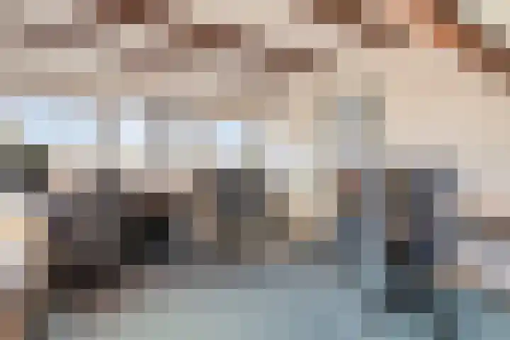 Distellaar 3 Veghel thumbnail 33