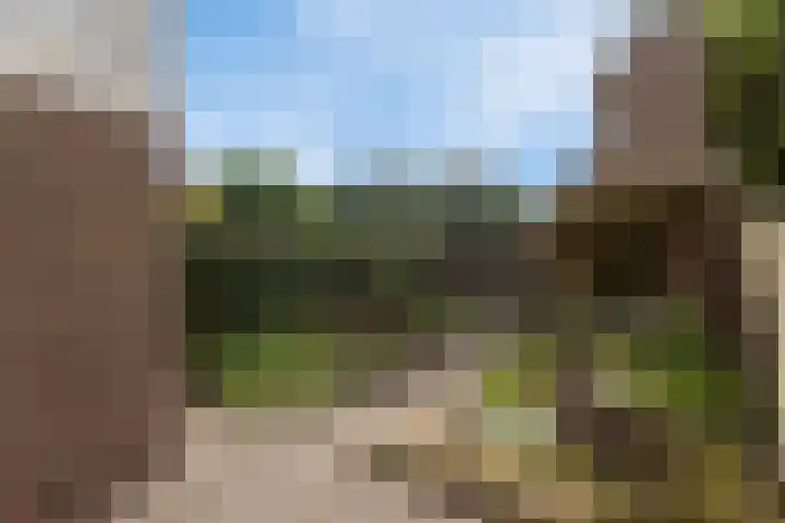 Distellaar 3 Veghel thumbnail 35
