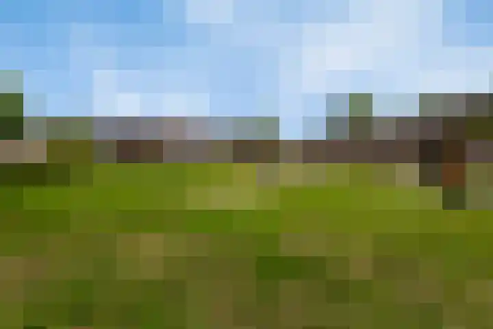 Distellaar 3 Veghel thumbnail 37