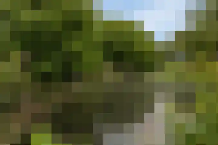 Distellaar 3 Veghel thumbnail 38
