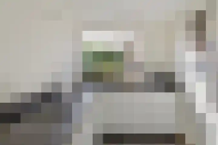 Distellaar 3 Veghel thumbnail 4