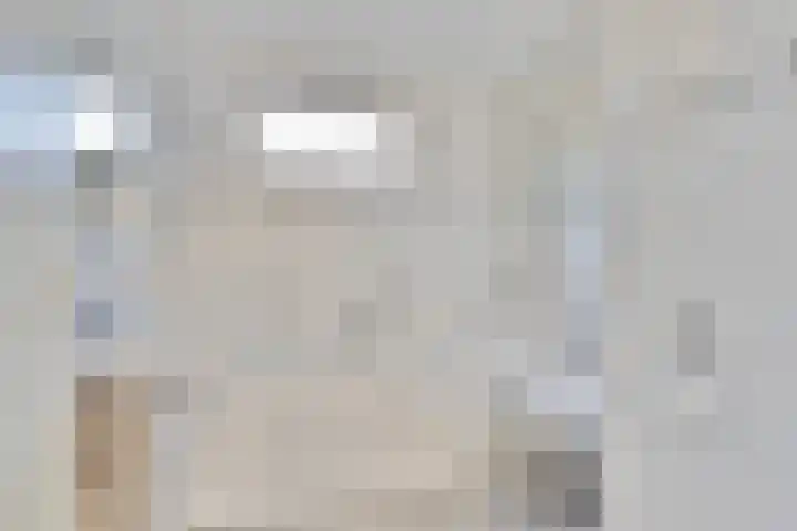 Distellaar 3 Veghel thumbnail 5