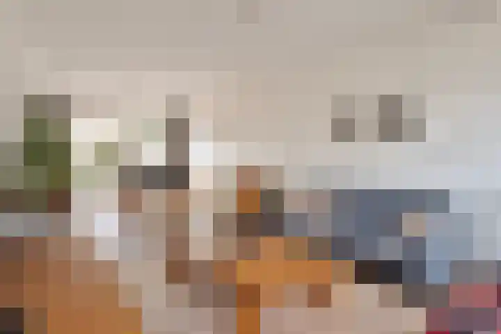 Distellaar 3 Veghel thumbnail 6