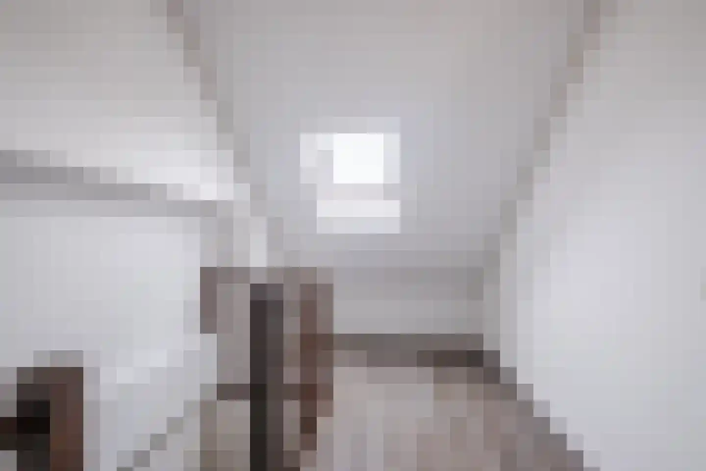 Distellaar 35 Veghel thumbnail 30