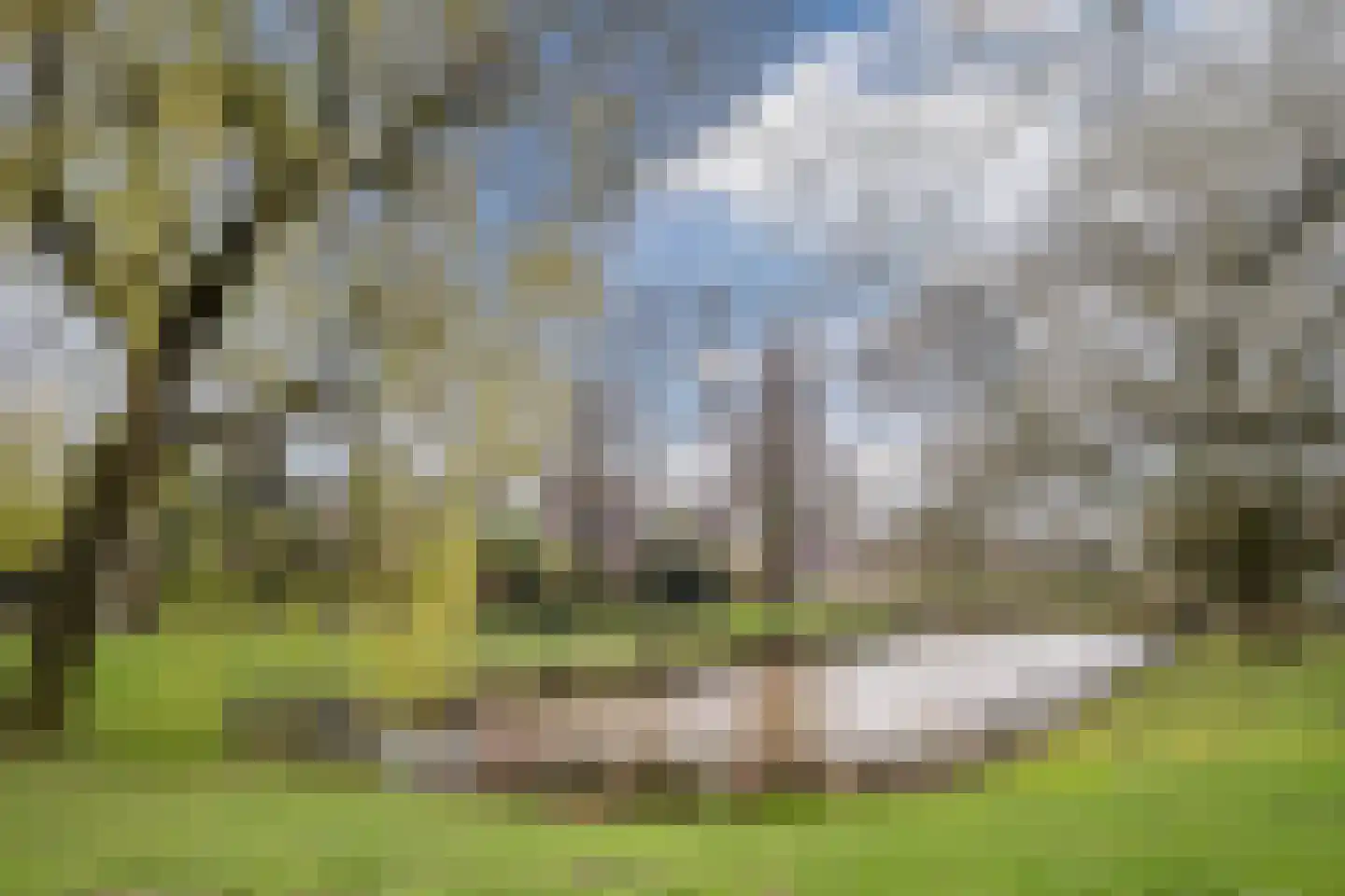 Distellaar 35 Veghel thumbnail 44