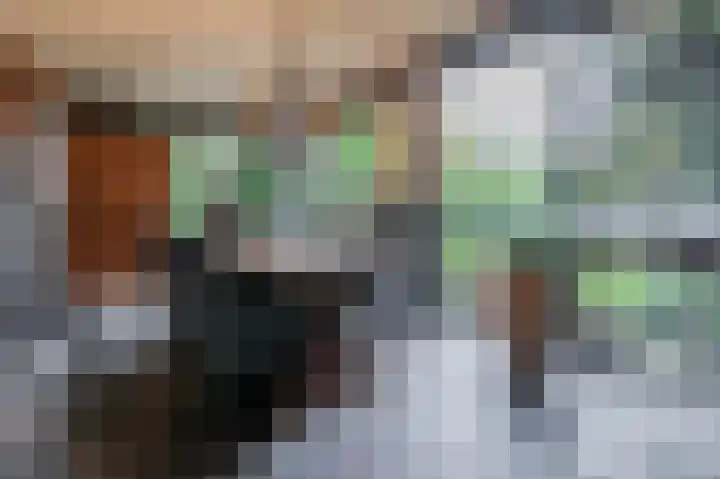 Distellaar 36 Veghel thumbnail 13
