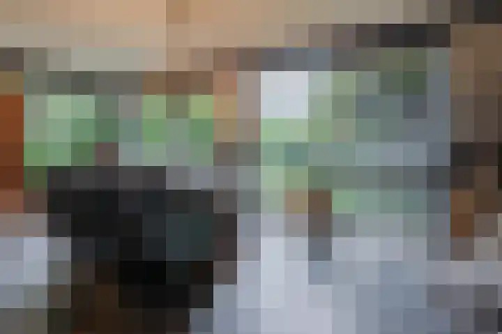 Distellaar 36 Veghel thumbnail 15