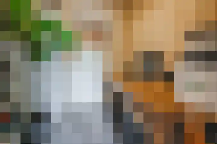 Distellaar 36 Veghel thumbnail 16