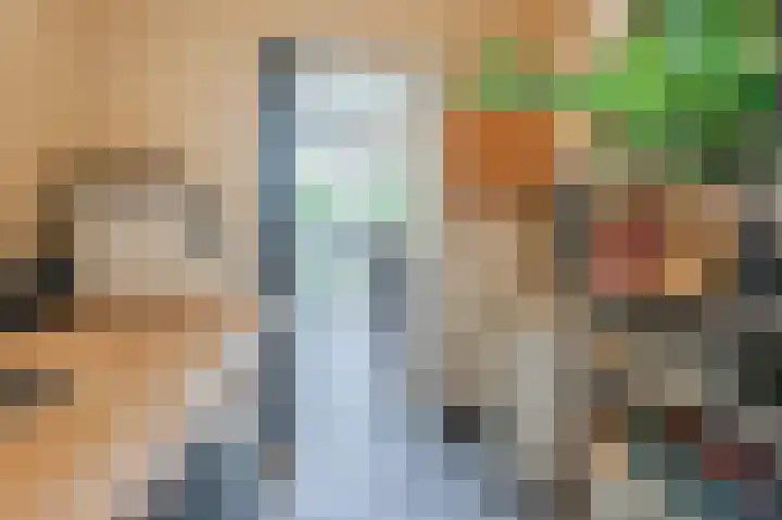 Distellaar 36 Veghel thumbnail 17