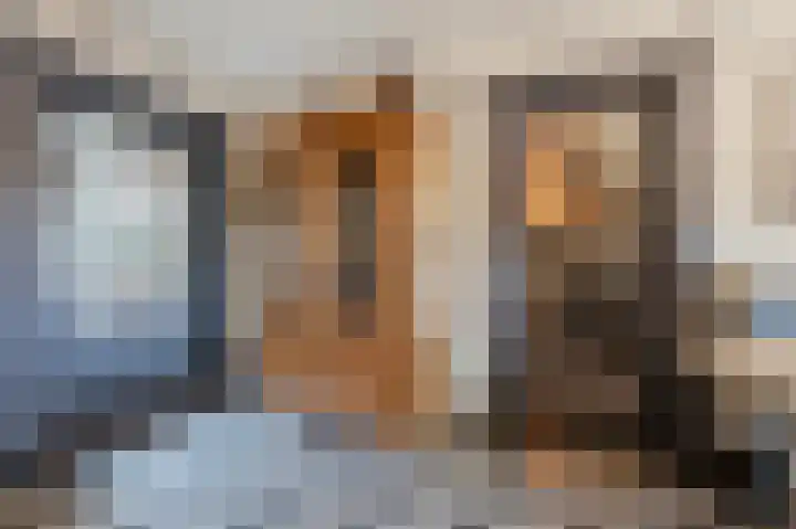 Distellaar 36 Veghel thumbnail 18