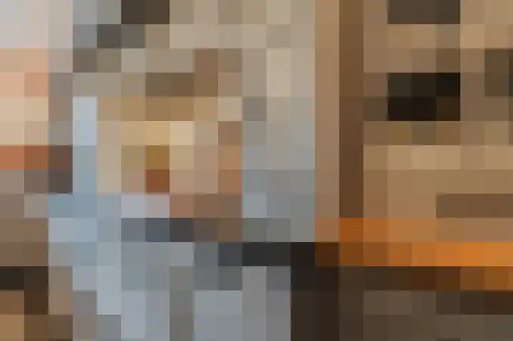 Distellaar 36 Veghel thumbnail 22