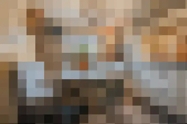 Distellaar 36 Veghel thumbnail 23