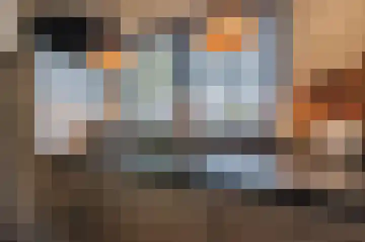 Distellaar 36 Veghel thumbnail 24
