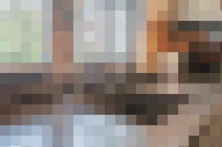 Distellaar 36 Veghel thumbnail 25