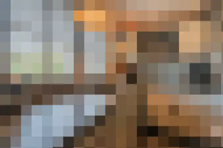 Distellaar 36 Veghel thumbnail 26