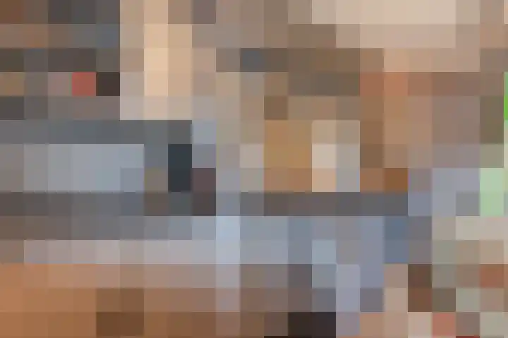 Distellaar 36 Veghel thumbnail 27