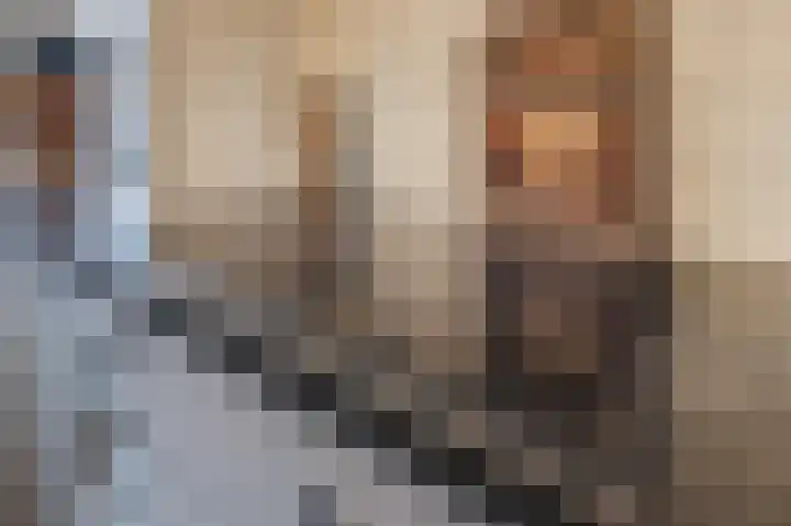 Distellaar 36 Veghel thumbnail 28