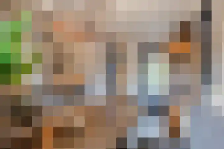 Distellaar 36 Veghel thumbnail 29