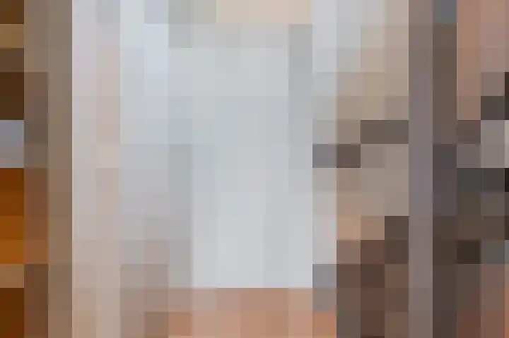Distellaar 36 Veghel thumbnail 30