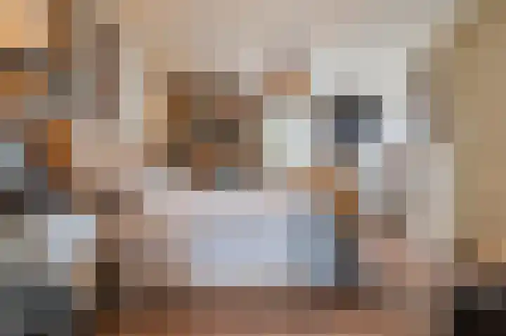 Distellaar 36 Veghel thumbnail 33