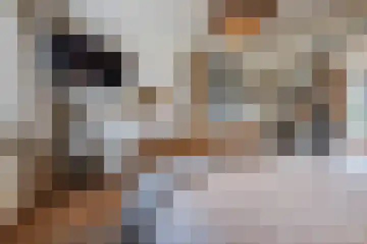 Distellaar 36 Veghel thumbnail 35