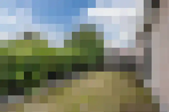 Distellaar 36 Veghel thumbnail 39