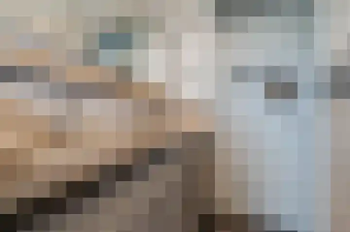 Distellaar 36 Veghel thumbnail 52