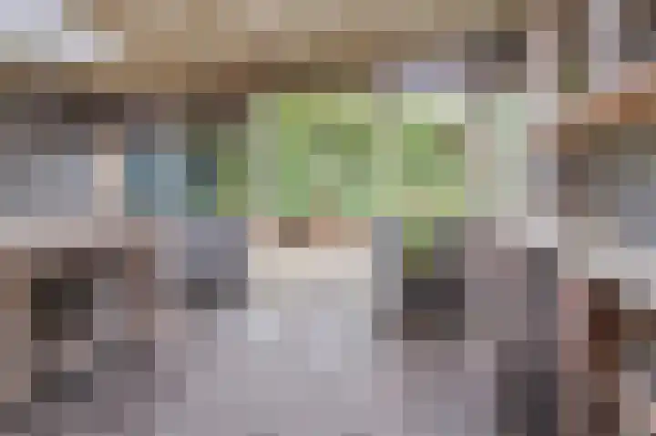 Distellaar 36 Veghel thumbnail 62