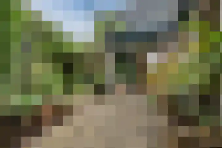 Distellaar 36 Veghel thumbnail 64