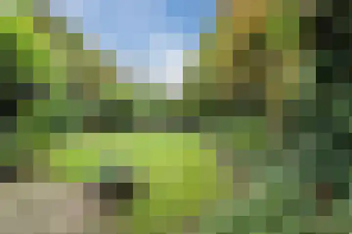 Distellaar 36 Veghel thumbnail 65